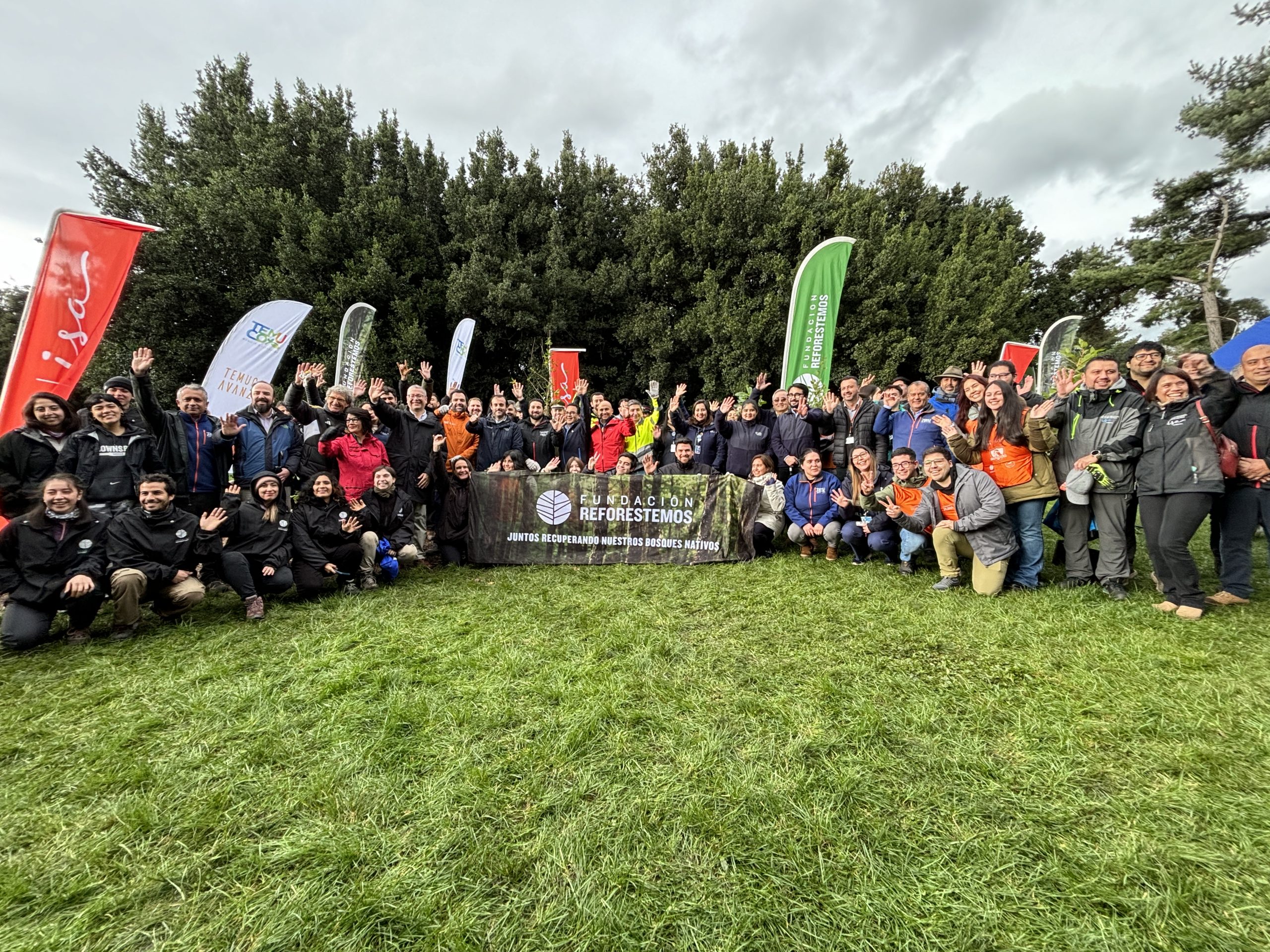 CONEXIÓN PUMA, COLO-COLO Y FUNDACIÓN REFORESTEMOS JUNTO A MÁS DE SESENTA VOLUNTARIOS PLANTARON CIEN ÁRBOLES NATIVOS EN PARQUE ISLA CAUTÍN